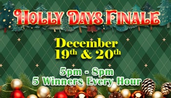 Holly Days 350x200 1