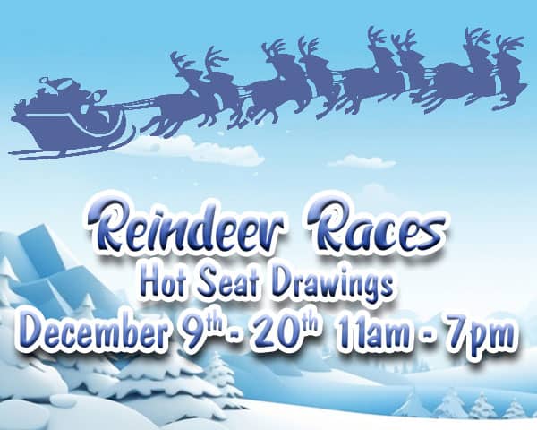 Reindeer Races 600x480 1